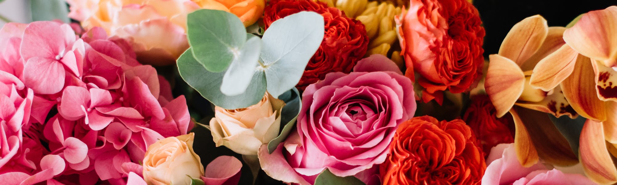 Kalamazoo Florist SameDay Kalamazoo Flower Delivery by VanderSalm's