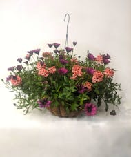 Blooming Hanging Baskets