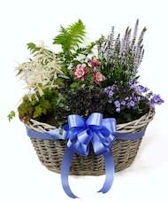 Blooming Perennial Basket