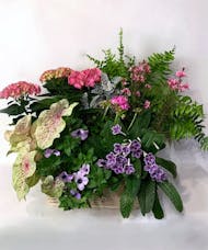 Bountiful Blooming Basket