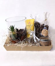 Rooting for You Gift Basket