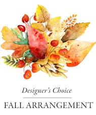 Designer's Choice - Fall Special