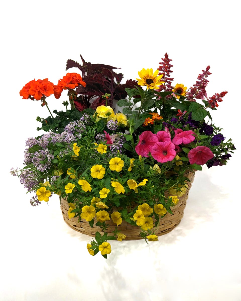 Beautiful Bright Blooms Annuals Basket Kalamazoo Delivery