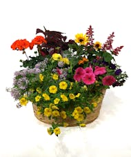 Beautiful Bright Blooms - A Basket Filled With Annuals
