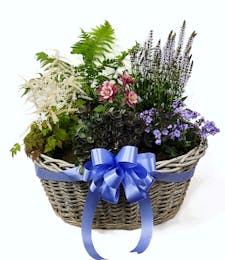 Blooming Perennial Basket