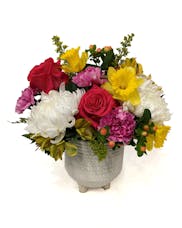 Little Miss Sunshine - Compact Spring With Daffodils