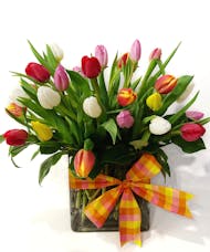 Spring Fling - Colorful Tulips Tied With a Bow