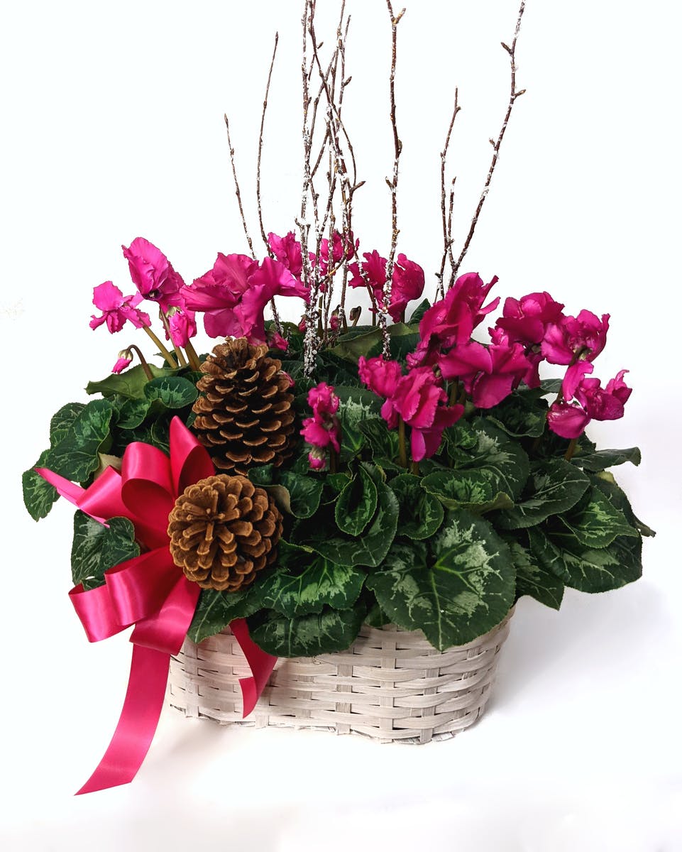 2023 New Year's Flower Delivery Kalamazoo MI VanderSalm's Florist
