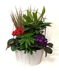 Charming Plant Basket