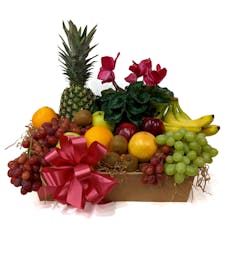 Fruit & Blooming Plant Basket