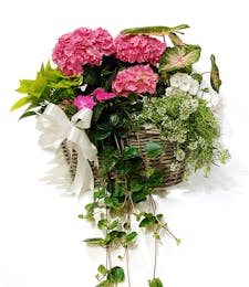 Bountiful Blooming Basket - Stunning Annuals
