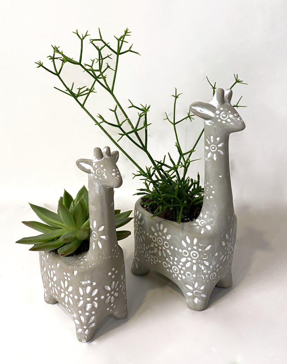 Giraffe Planter & Succulents Kalamazoo Plant Gifts