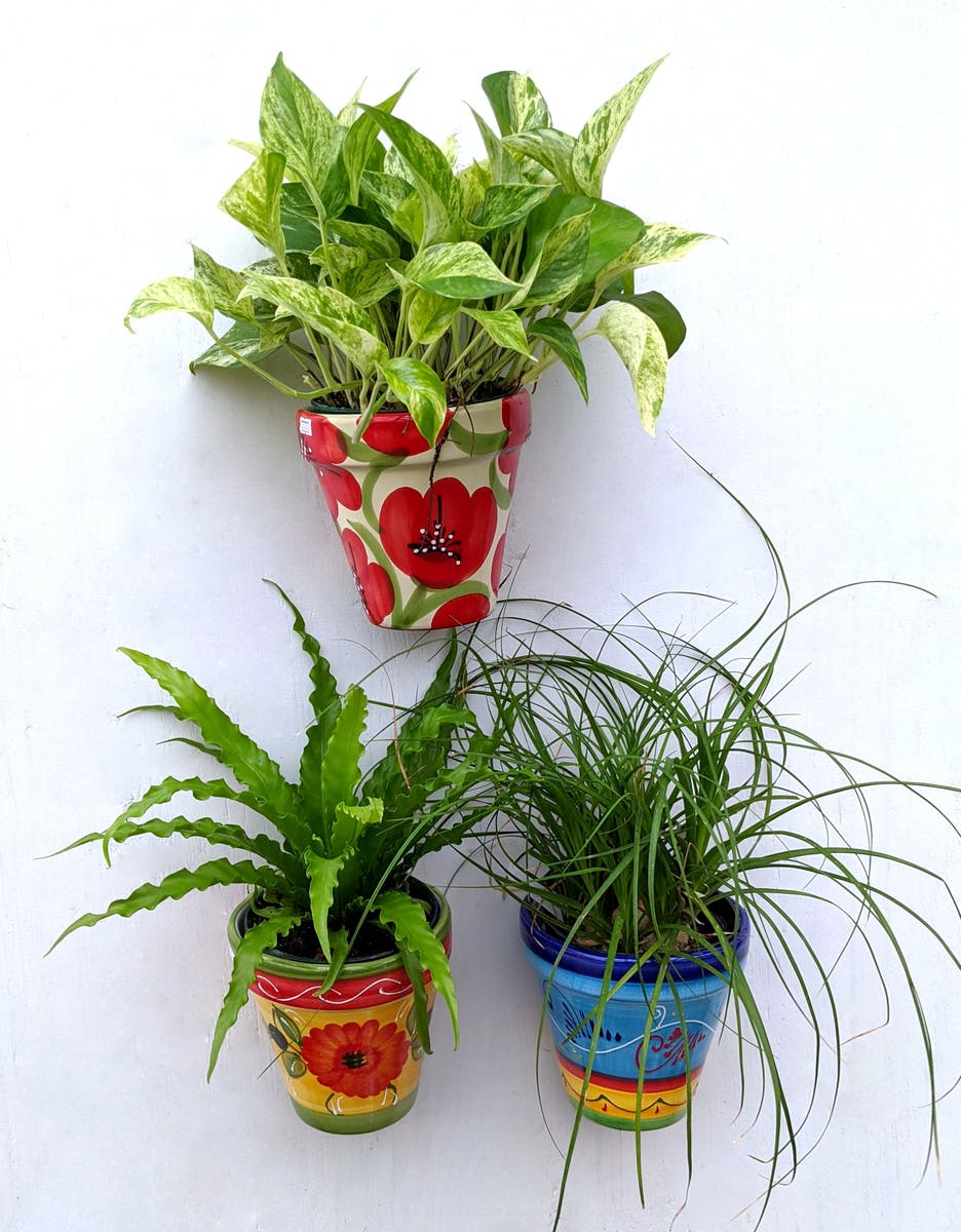 Wall Hanging Hand Painted Spanish Pottery Kalamazoo (MI) SameDay