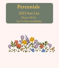 Garden Center Perennials - 2023 Sun List