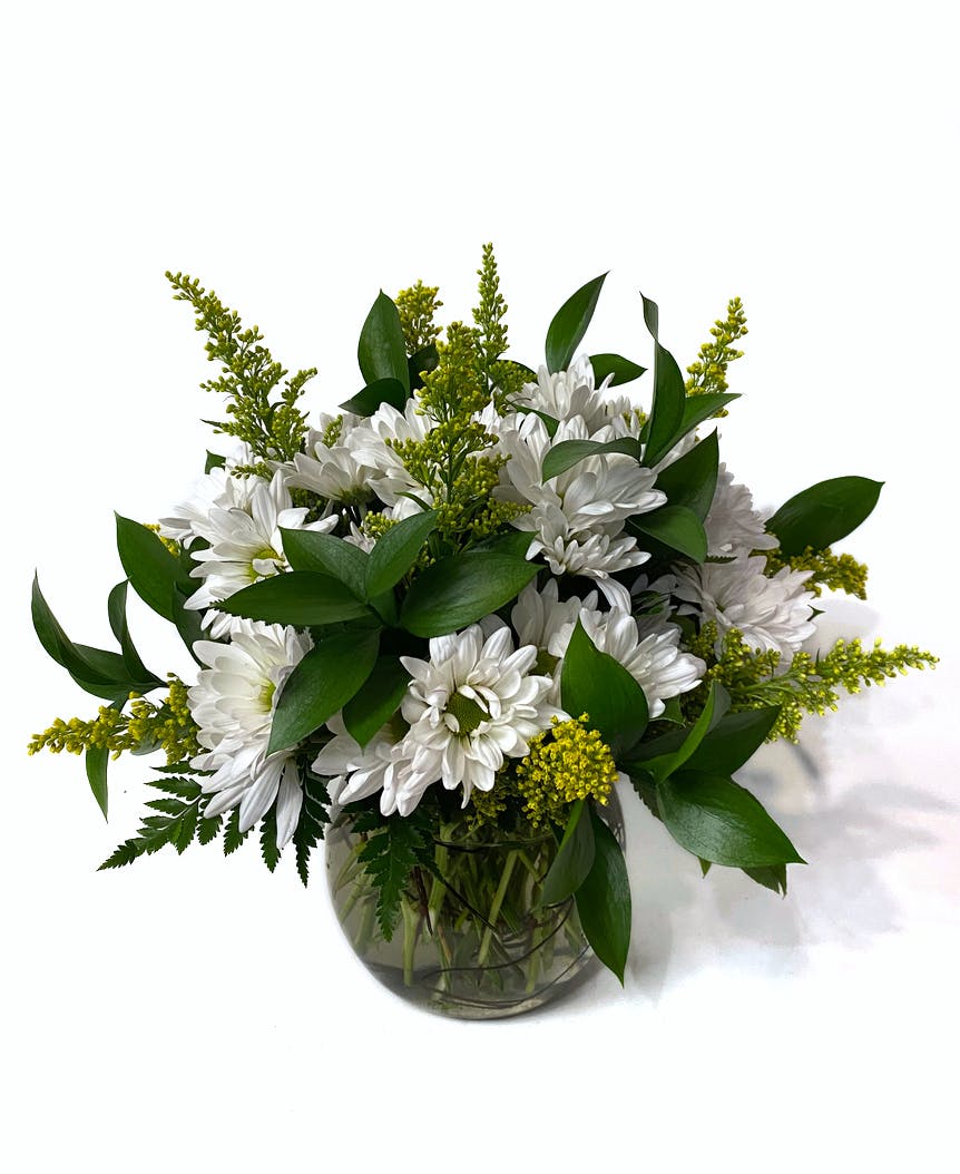 FreshCut Daisies Kalamazoo Flower Delivery