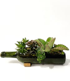 Wine Bottle Succulent Planter