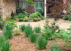 Residential landscaping - perennials