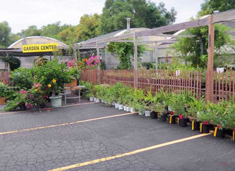 Plants, bushes and trees on display around our Garden Center